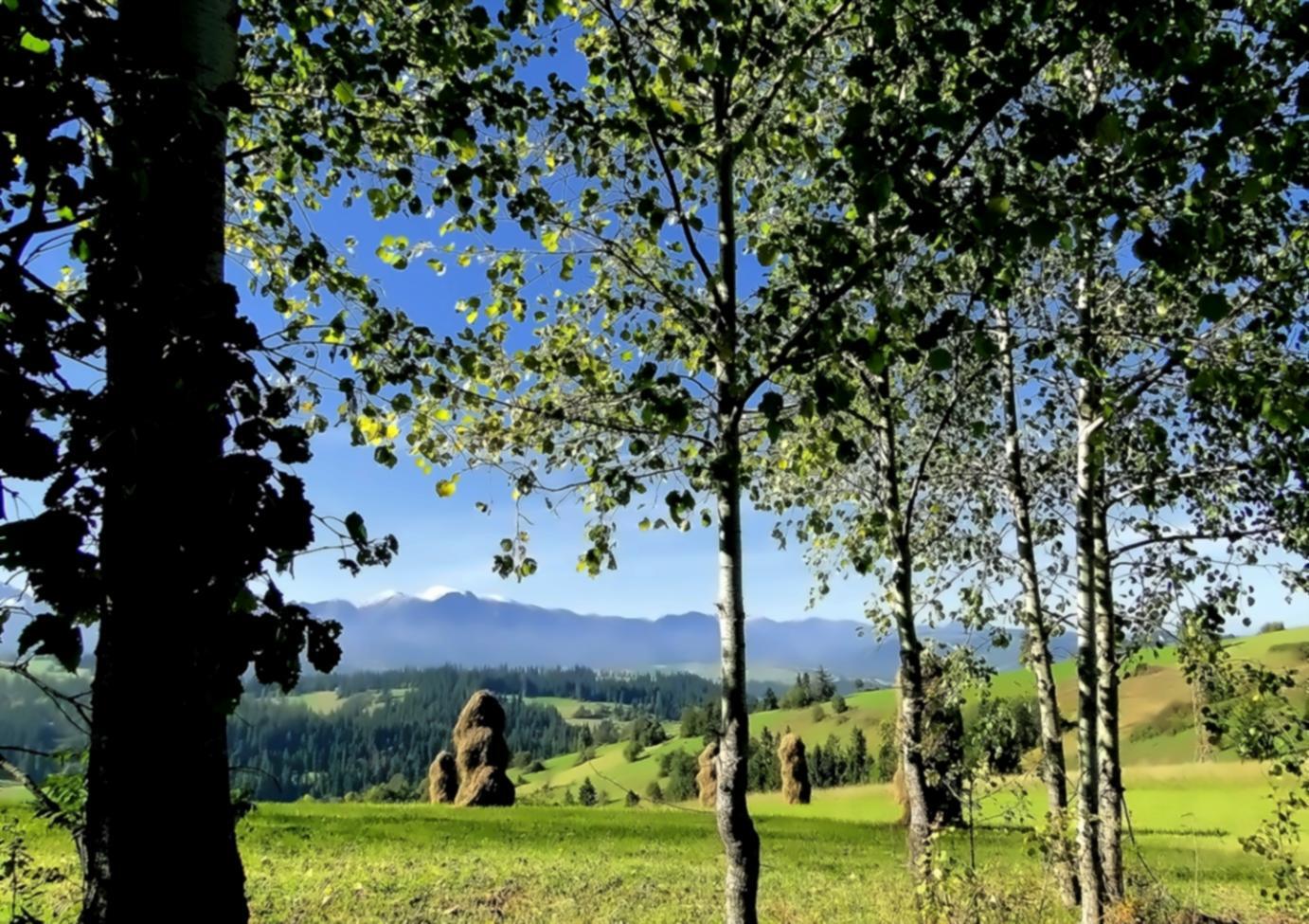 Espace d'apprentissage moderne dédié aux discussions environnementales