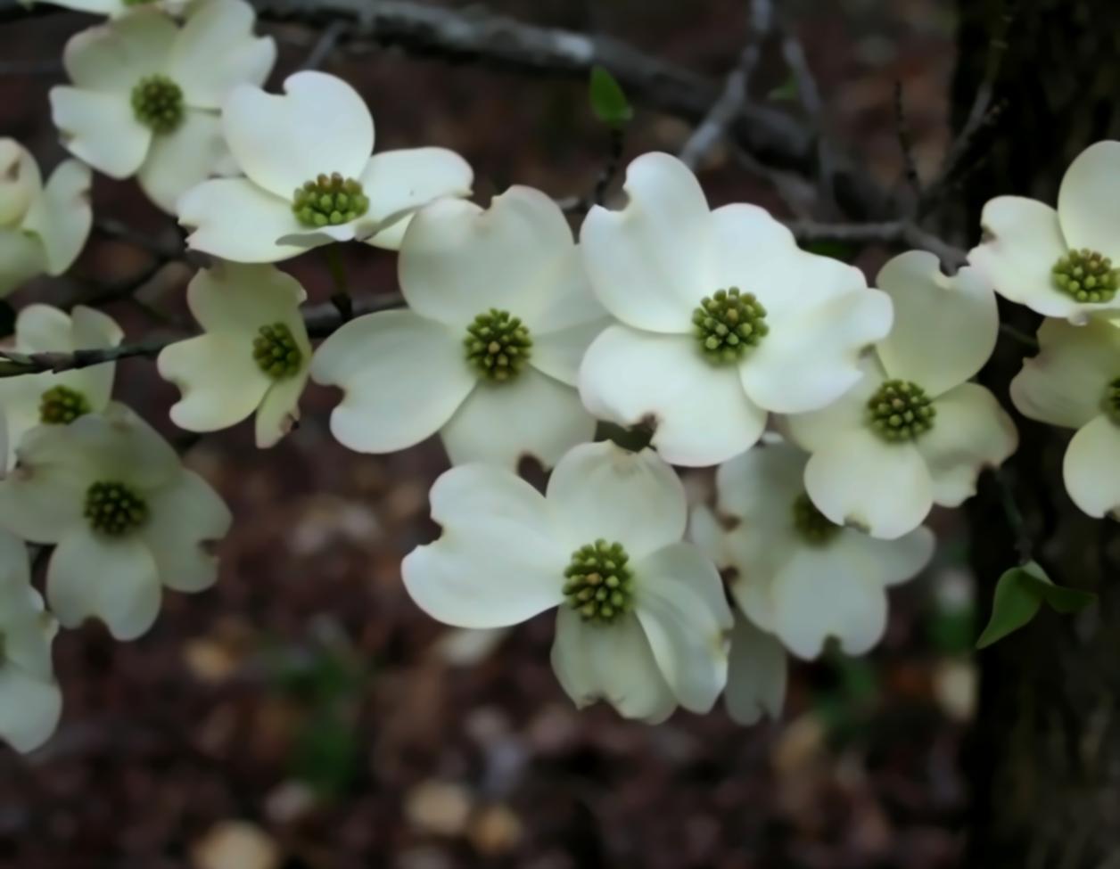 Session de cours en ligne