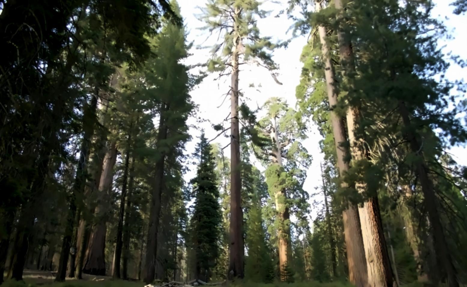 Interface de plateforme éducative